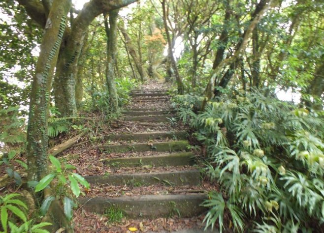 白雞山風景區