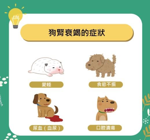 黑便原因 黑便原因