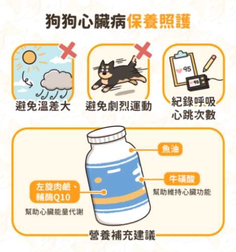 狗心臟病預防 狗心臟病預防