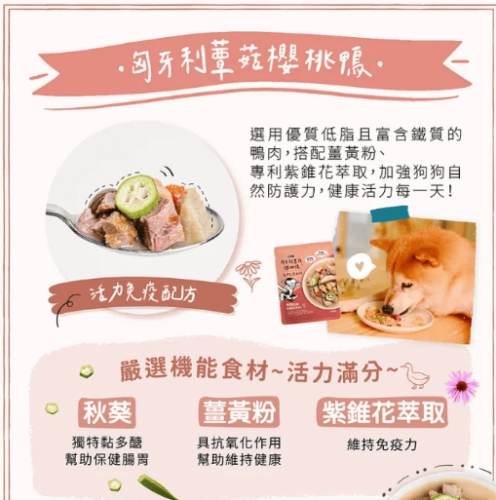 幼犬飲食指南 幼犬飲食指南