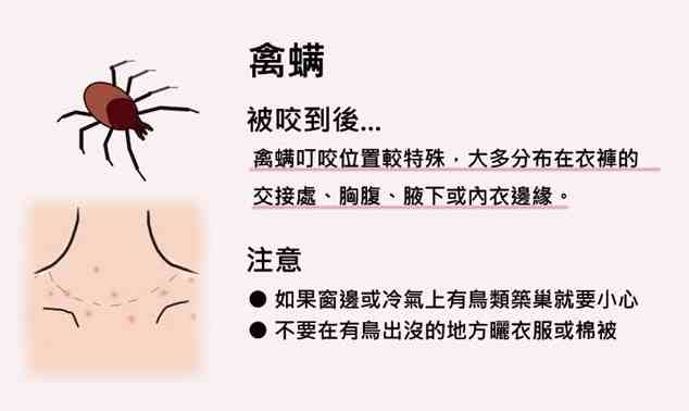 壁蝨叮咬預防 壁蝨叮咬預防