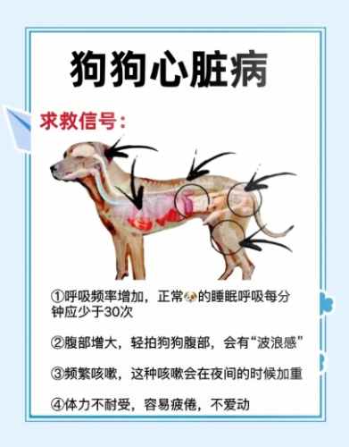狗狗呼吸困難 狗狗呼吸困難