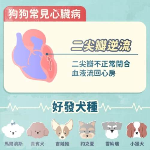 心臟病狗用藥 心臟病狗用藥