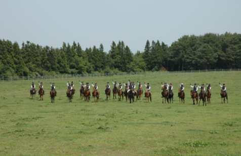 濟州島騎馬 濟州島騎馬