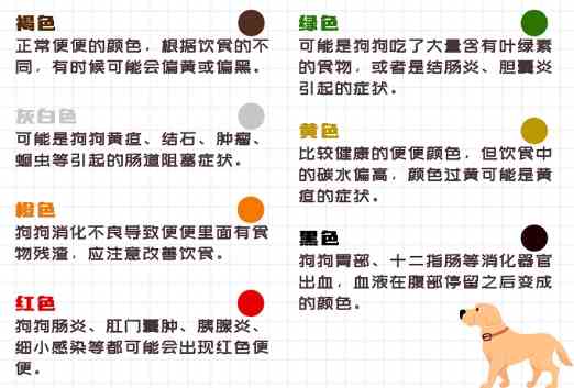 狗狗腎衰竭症狀 狗狗腎衰竭症狀