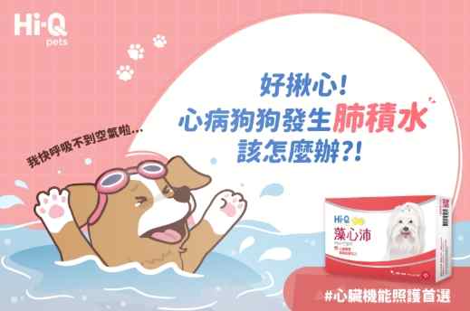 狗狗肺水腫 狗狗肺水腫