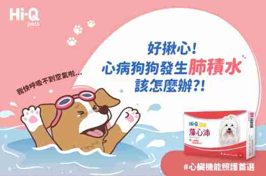 肺積水病徵 肺積水病徵