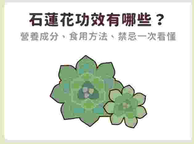 石蓮花多酚怎麼吃 石蓮花多酚怎麼吃