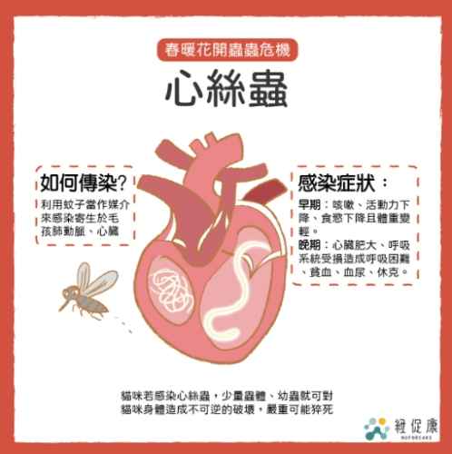 心絲蟲預防方法 心絲蟲預防方法