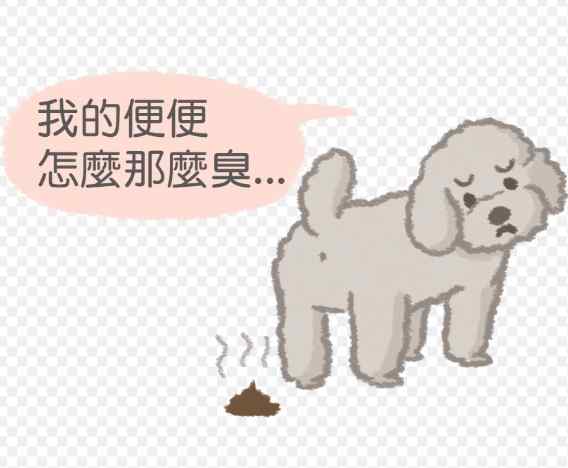 犬隻腸胃炎症狀 犬隻腸胃炎症狀