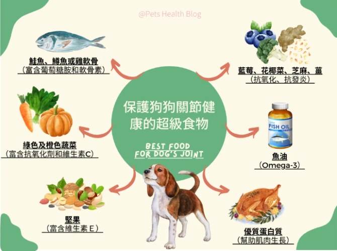 狗狗腎臟病飲食管理 狗狗腎臟病飲食管理
