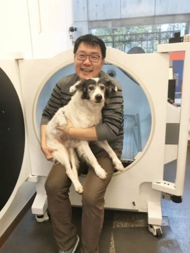 狗狗缺氧症狀 狗狗缺氧症狀