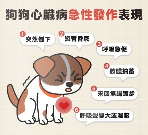 狗心臟病預防 狗心臟病預防