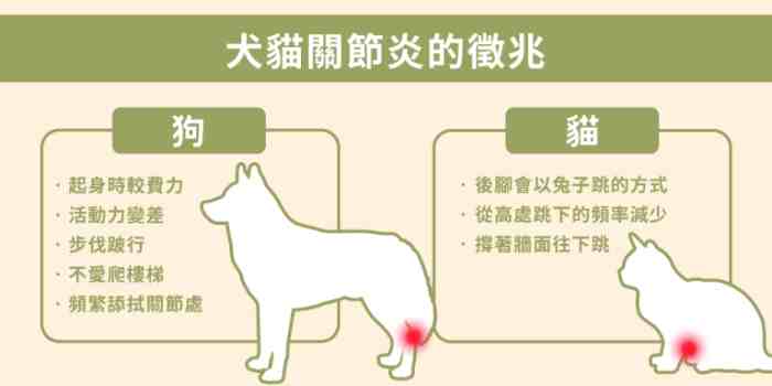 犬關節炎治療 犬關節炎治療