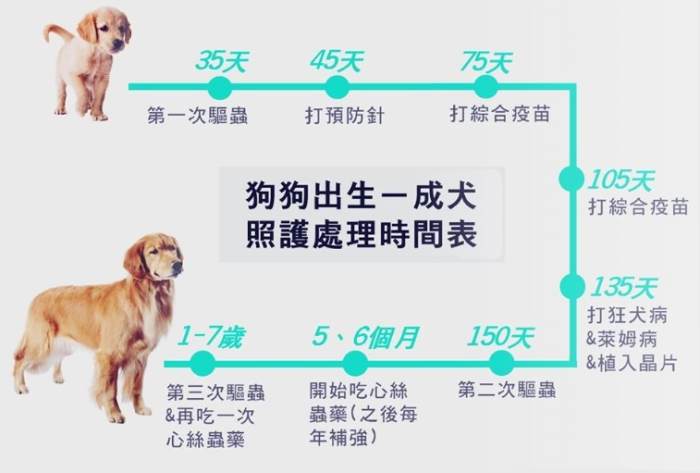 幼犬呼吸正常值 幼犬呼吸正常值
