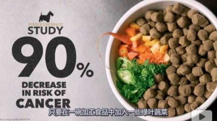 狗肺積水食物
