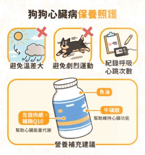 犬心臟病治療 犬心臟病治療