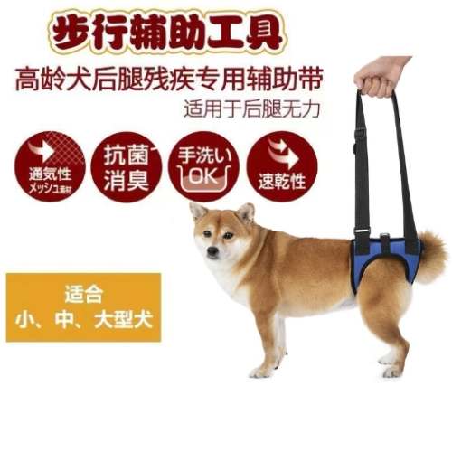 狗後腿無力治療 狗後腿無力治療