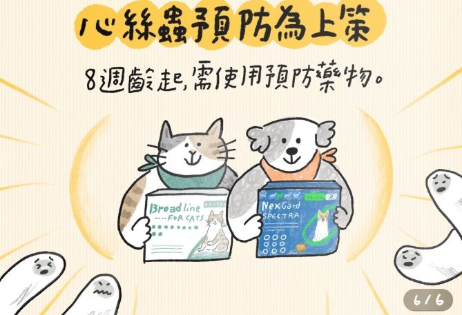 貓心絲蟲症狀 貓心絲蟲症狀