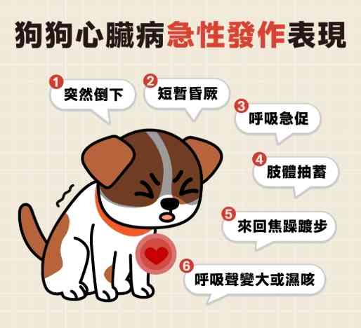 狗狗心臟肥大症狀 狗狗心臟肥大症狀