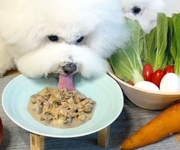 自製狗食食譜 自製狗食食譜