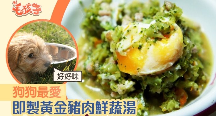 幼犬飲食指南 幼犬飲食指南