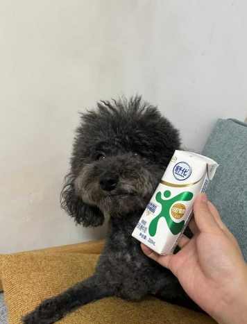 低脂牛奶对狗的影响 低脂牛奶对狗的影响