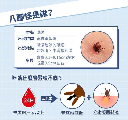 牛蜱叮咬處理 牛蜱叮咬處理
