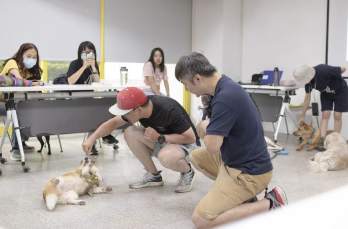 狗狗急救知識