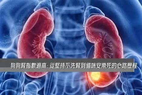 犬腎衰竭原因 犬腎衰竭原因