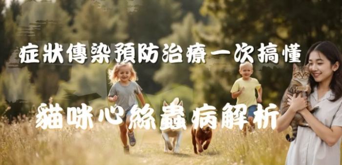 貓心絲蟲預防 貓心絲蟲預防