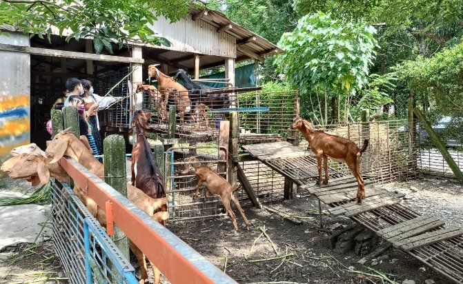 屏东牧场旅游 屏东牧场旅游