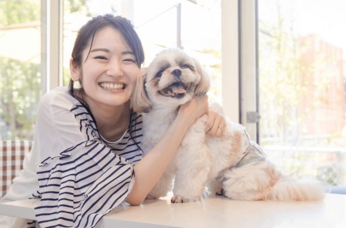 室內犬獨處焦慮 室內犬獨處焦慮