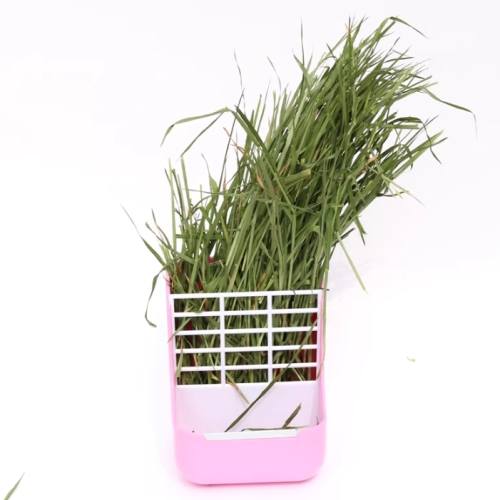 小麥草狗健康 小麥草狗健康