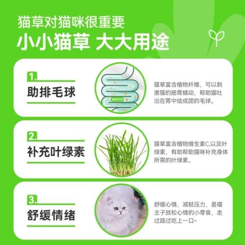 小麥草狗餵食方法 小麥草狗餵食方法