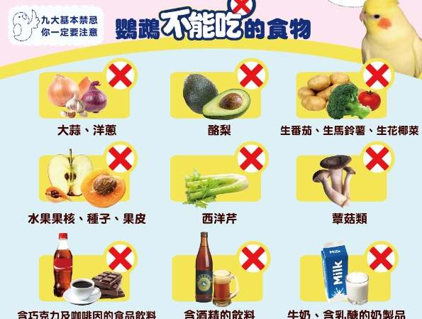 鸚鵡飲食安全 鸚鵡飲食安全