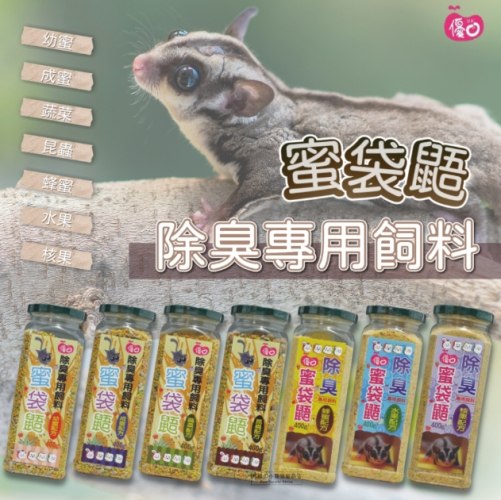 蜜袋鼯飼料推薦 蜜袋鼯飼料推薦
