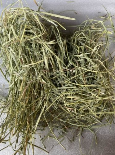 提摩西草收割差異 提摩西草收割差異