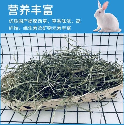 提摩西草營養價值 提摩西草營養價值