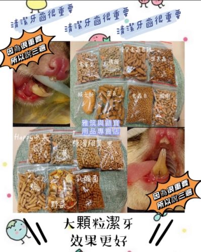 蜜袋鼯食物 蜜袋鼯食物