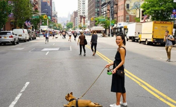 狗狗散步问题 狗狗散步问题