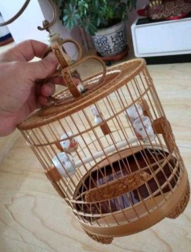 鳥籠清潔