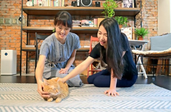 如何問寵物溝通師 如何問寵物溝通師
