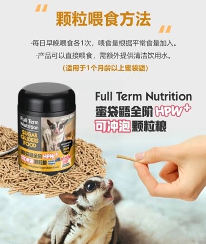 蜜袋鼯飼料推薦 蜜袋鼯飼料推薦