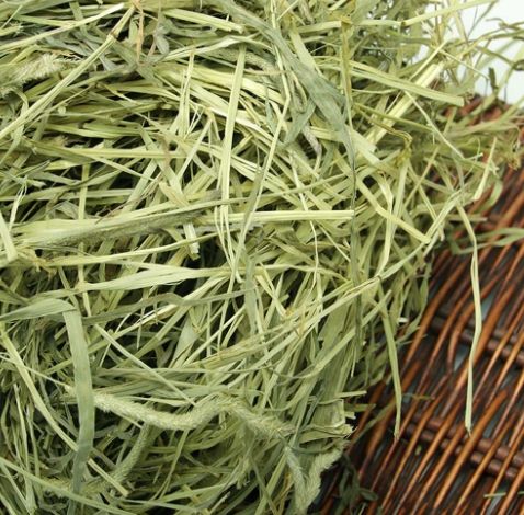 提摩西草收割差異 提摩西草收割差異