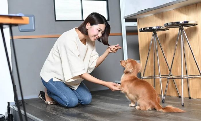 狗狗空守行為 狗狗空守行為