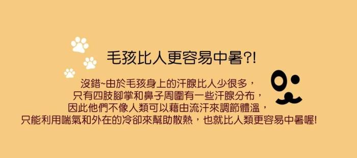 狗熱衰竭徵兆 狗熱衰竭徵兆