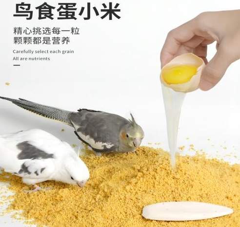 玄鳳鸚鵡飲食 玄鳳鸚鵡飲食
