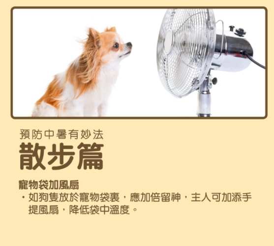 狗狗中暑症狀 狗狗中暑症狀