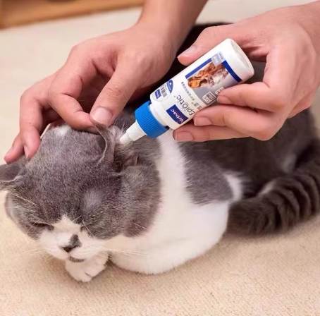 貓驅蟲藥推薦
